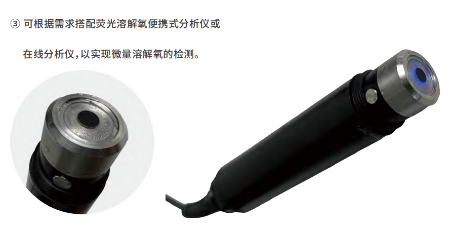 Dissolved Oxygen Sensors