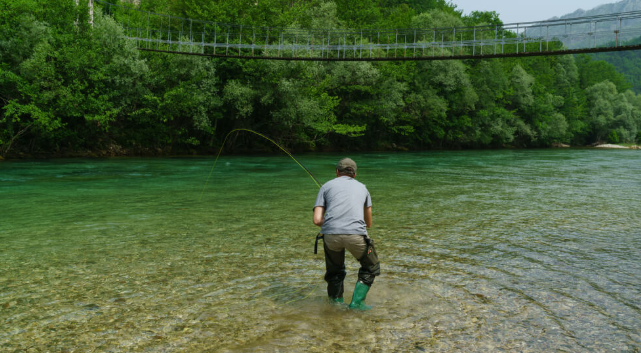 Dissolved oxygen effect on ecosystems